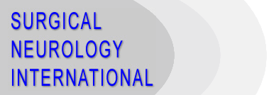 SNI logo